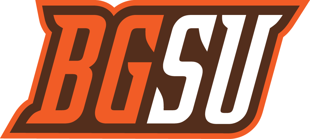 Bowling Green Falcons 2006-Pres Alternate Logo v8 diy iron on heat transfer